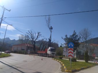 Σε εξέλιξη κλαδέματα δένδρων και φροντίδα πρασίνου στον Δήμο Μουζακίου
