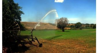 Δ.Α.Ο. Π.Ε. Καρδίτσας: Πρόσκληση για ετήσια παράταση της 2ης Πρόσκλησης για την Δράση 10.1.04 «Μείωση της ρύπανσης νερού από γεωργική δραστηριότητα» του Μέτρου 10 του ΠΑΑ 2014-2022