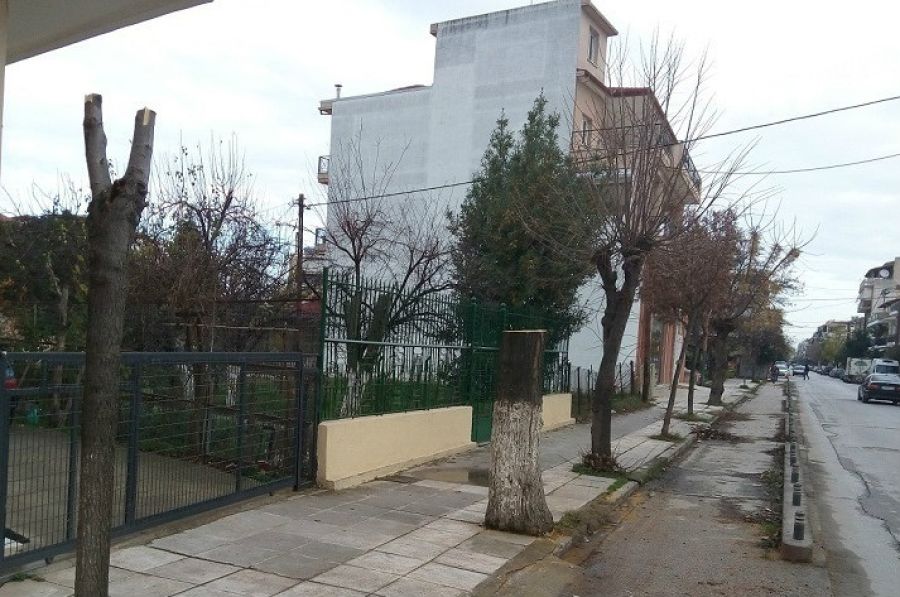 Δήμος Καρδίτσας: Από την Δευτέρα 5 Ιανουαρίου θα γίνει η αποκομιδή κλαδεμάτων στη συνοικία Αγ. Παρασκευής