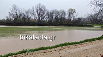 Τρίκαλα: Άρχισε να πέφτει η στάθμη του Πηνειού