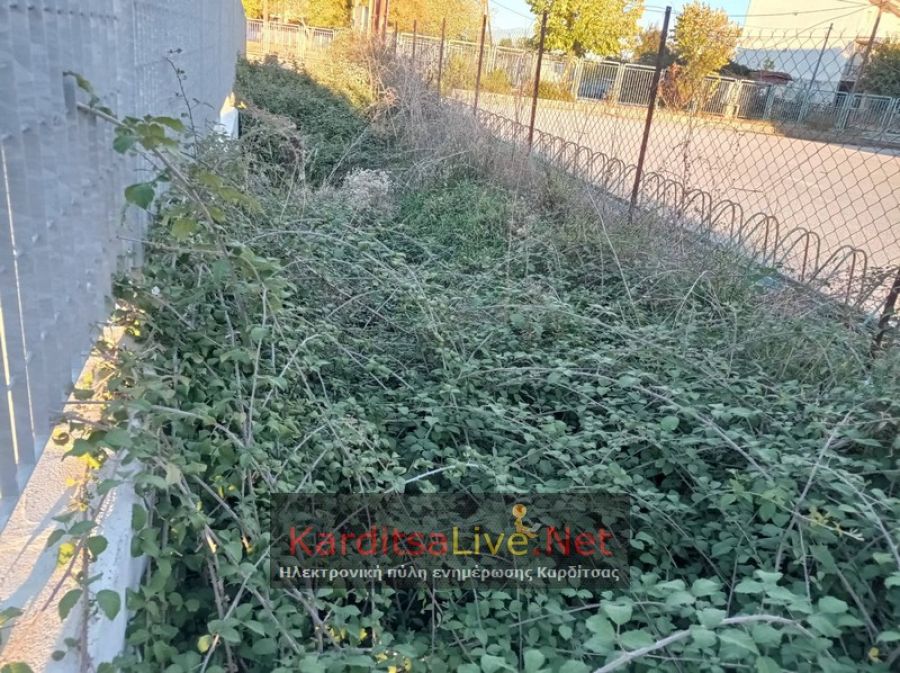 Χρήζει παρέμβασης ο αύλακας μεταξύ 3ου ΓΕΛ και νέου Κλειστού Γυμναστηρίου (+Φωτο)