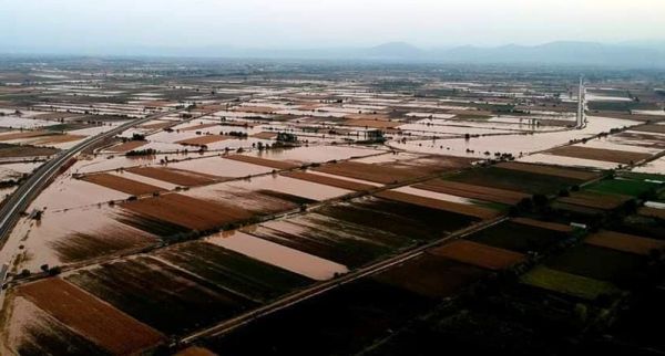 Πρόσκληση 8 εκατ. ευρώ για αποκατάσταση φυτικού κεφαλαίου σε 26 Π.Ε. από πλημμύρες το 2024 - Εντός και η Π.Ε. Καρδίτσας