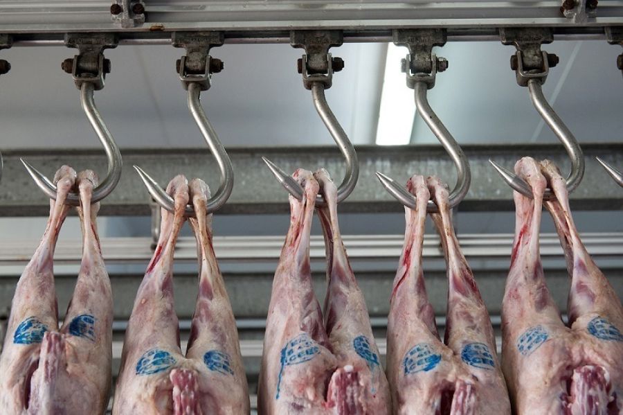 Ανοίγουν την Πέμπτη (9/10) τα σφαγεία στην Καρδίτσα για αμνοερίφια και αιγοπρόβατα – θα διενεργούνται αυστηροί έλεγχοι
