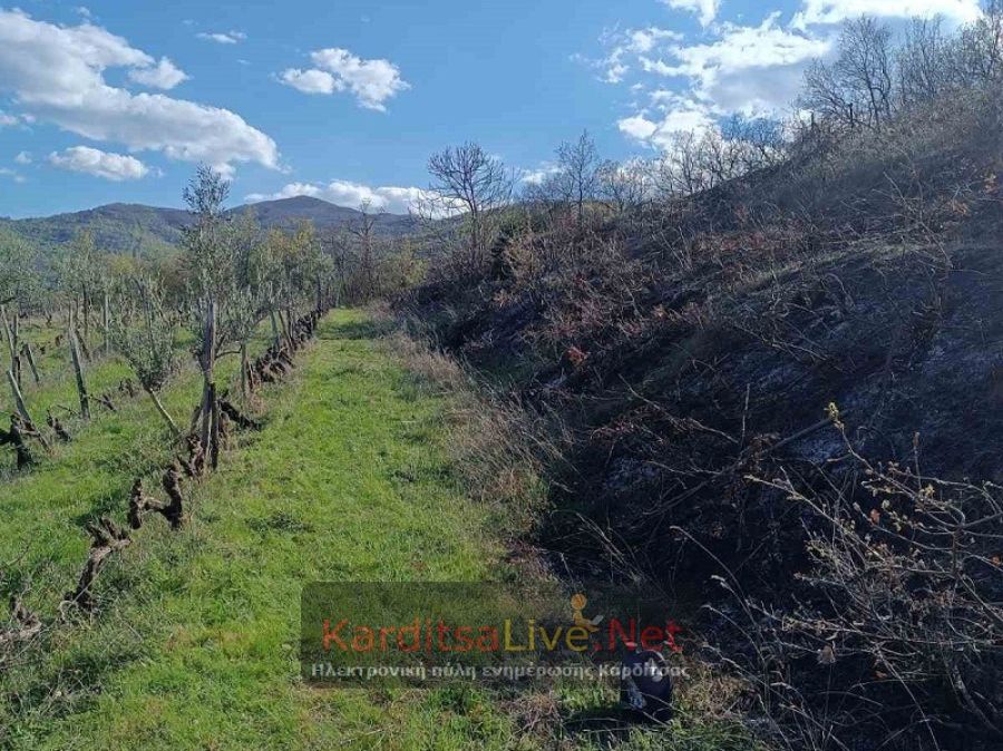 Πυρκαγιά έκαψε δασική έκταση στο Μοσχάτο Καρδίτσας - Πολίτης υπέστη εγκαύματα (+Φωτο)