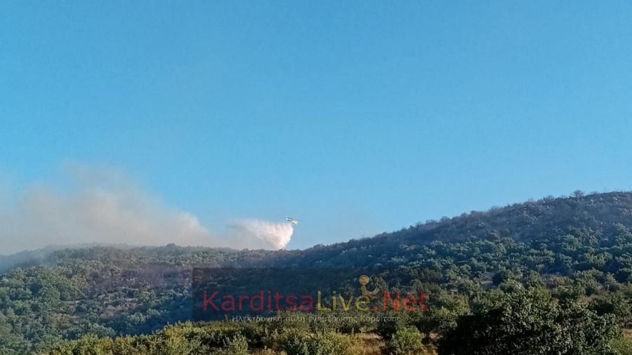 «Στάχτη» πάνω από 400 στρέμματα δασικής και χορτολιβαδικής έκτασης στο Καλλίθηρο