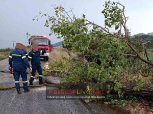 Πτώσεις δέντρων και προβλήματα στην ηλεκτροδότηση από το απογευματινό μπουρίνι (Ανανεώθηκε 18.10)