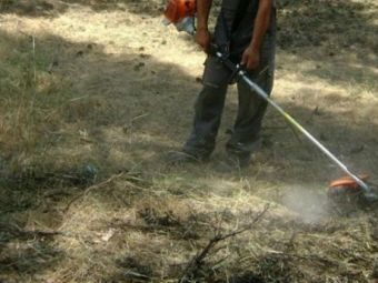 Δήμος Παλαμά: Υποχρέωση όλων ο καθαρισμός των οικοπέδων από τα χόρτα