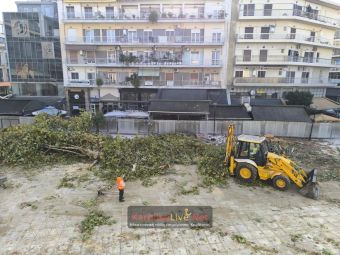 Κοπή δέντρων στην Καρδίτσα: Αποκαρδιωτική η εικόνα – κύμα αντιδράσεων από πολίτες – θα φυτευτεί υπερδιπλάσιος αριθμός δέντρων, λέει ο Π. Σβερώνης (+Φωτο +Βίντεο)