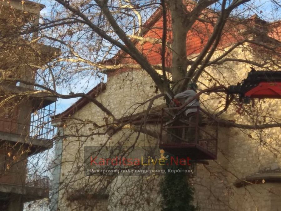 Κλάδεμα δέντρων εντός του προαυλίου του Ι.Ν. Ευαγγελίστριας στην Καρδίτσα (+Βίντεο)