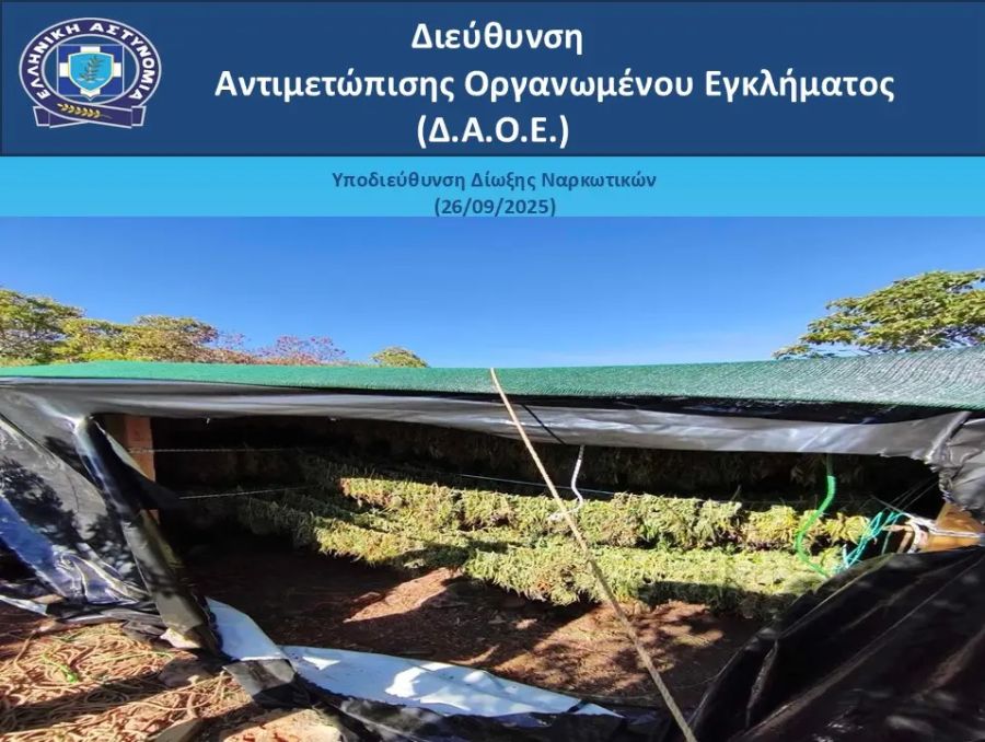Εγκληματική οργάνωση θα έβγαζε 8 εκατ. ευρώ από την πώληση κάνναβης!