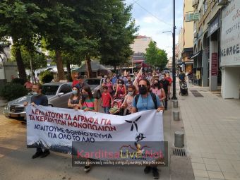Συγκέντρωση για το περιβάλλον στην Καρδίτσα: To «πράσινο new deal» στοχεύει στην κερδοφορία των επενδύσεων στην ενέργεια! (+Φώτο +Βίντεο)