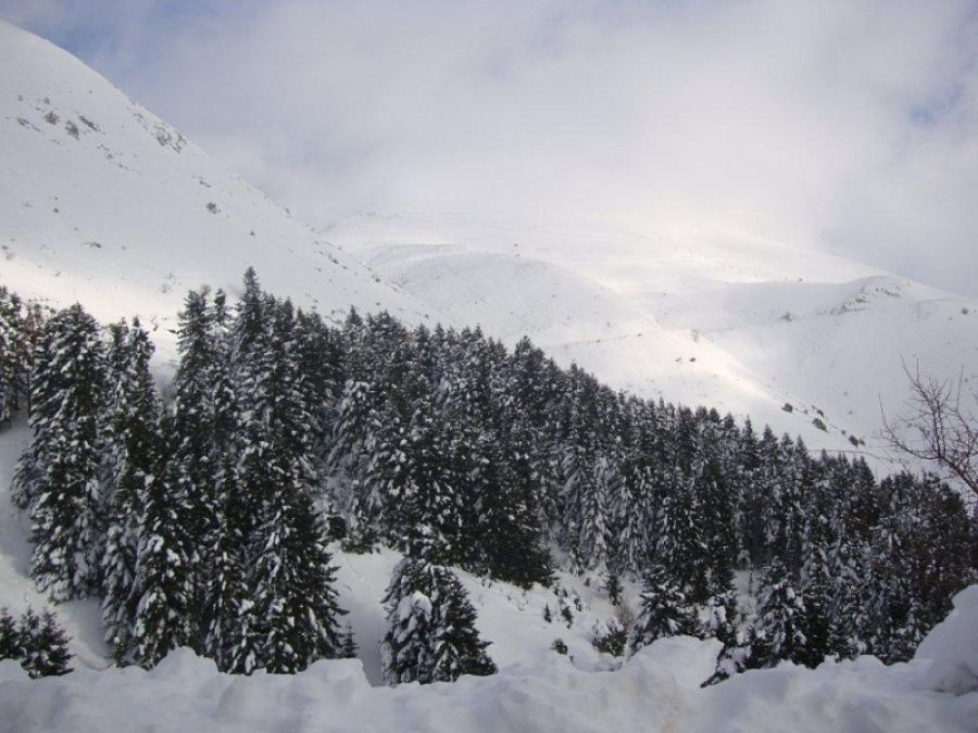 Φρέσκο χιόνι έπεσε το βράδυ της Κυριακής στα ορεινά της Καρδίτσας