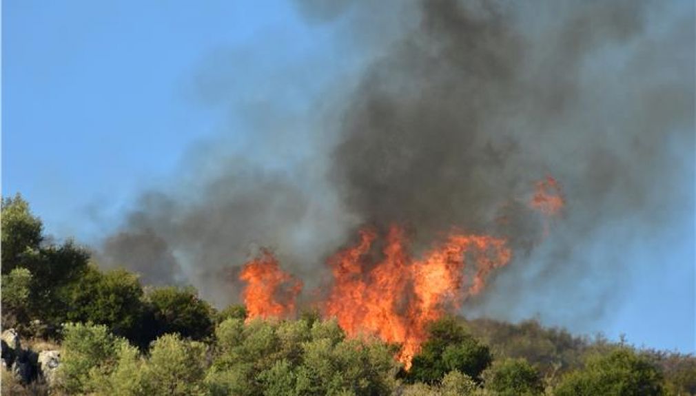 Στις 3.830 έφθασαν οι αιτήσεις των πυρόπληκτων στην Αττική το πρώτο 10ήμερο
