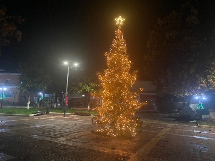 Βάιος Κουκουζέλης: «Η Μητρόπολη άναψε το Χριστουγεννιάτικο δέντρο της»