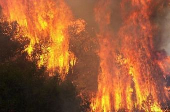 Ανεξέλεγκτη η φωτιά στα Βίλια - Πιθανή η εκκένωση σύμφωνα με τον Αντιπεριφερειάρχη Αττικής