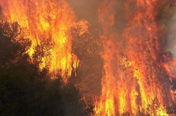 Ηλίας Μπόρλας: "Φωτιές και ευθύνες"