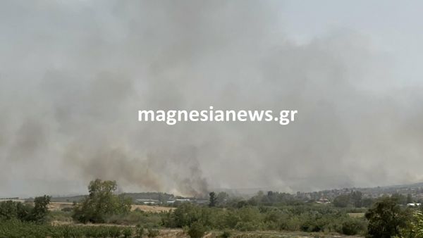 Απαλλάσσεται των καθηκόντων του μέχρι την ολοκλήρωση της ΕΔΕ ο Διοικητής της 111 Πτέρυγας Μάχης