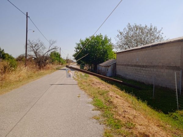 Πεσμένη κολόνα τηλεπικοινωνιών στη μέση του δρόμου στο Δασοχώρι Καρδίτσας εδώ και 20 ημέρες (+Φωτο)