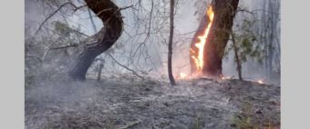 Πυρκαγιά στη Μάνη: Καλύτερη η εικόνα το πρωί της Κυριακής και χωρίς ενεργό μέτωπο