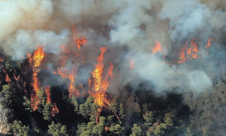 Σε εξέλιξη μεγάλες πυρκαγιές σε Κερατέα και Βίλια Αττικής