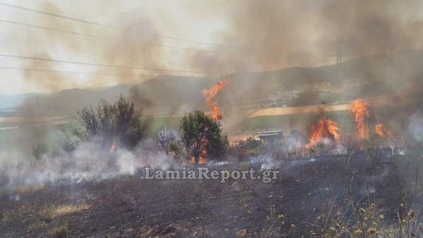 Πυρκαγιά καίει αγροτοδασική έκταση στα Γαβράκια Δομοκού - Σηκώθηκαν και πυροσβεστικά PZL (+Φωτο)