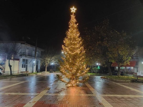 Η Μητρόπολη φωταγωγεί για 9η συνεχόμενη χρονιά το Χριστουγεννιάτικο Δέντρο της την Παρασκευή 9 Δεκεμβρίου