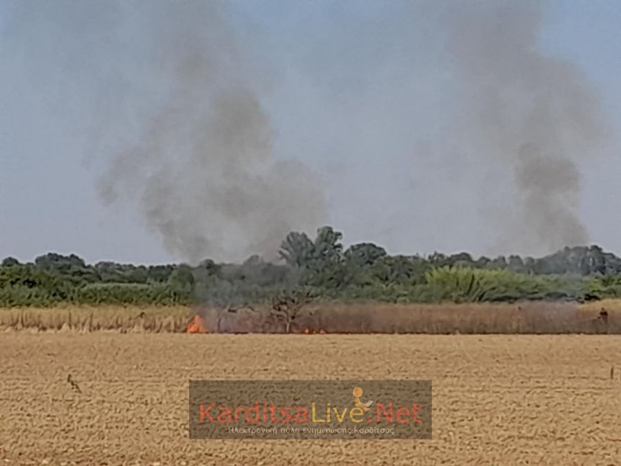 Επέμβαση της Π.Υ. Καρδίτσας σε μικρής έκτασης πυρκαγιά στην Καρδιτσομαγούλα (+Φωτο)