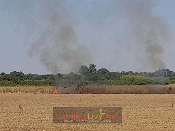 Επέμβαση της Π.Υ. Καρδίτσας σε μικρής έκτασης πυρκαγιά στην Καρδιτσομαγούλα (+Φωτο)