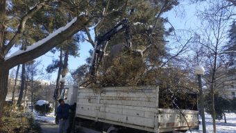 Καθάρισμα σχολικών προαυλίων και κλάδεμα επικίνδυνων δέντρων από το Δήμο Καρδίτσας (+Φώτο)