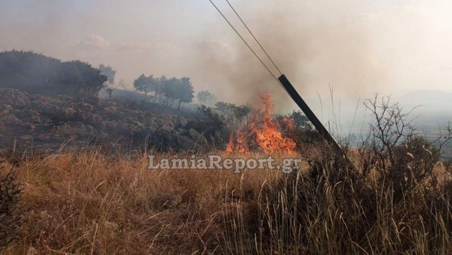 Συναγερμός για πυρκαγιά στο Βαθύκοιλο Φθιώτιδας - Σηκώθηκαν και τα δύο αεροσκάφη από Λαμία