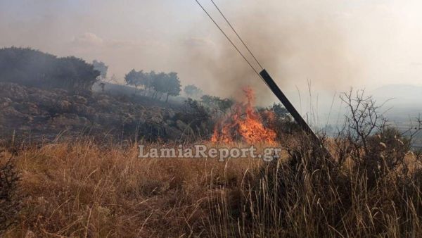 Συναγερμός για πυρκαγιά στο Βαθύκοιλο Φθιώτιδας - Σηκώθηκαν και τα δύο αεροσκάφη από Λαμία