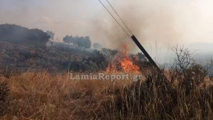 Συναγερμός για πυρκαγιά στο Βαθύκοιλο Φθιώτιδας - Σηκώθηκαν και τα δύο αεροσκάφη από Λαμία
