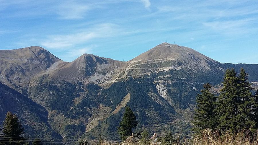 Αίσιο τέλος σε επιχείρηση για την διάσωση δύο αγελάδων από δύσβατο σημείο στην περιοχή του Τυμπάνου
