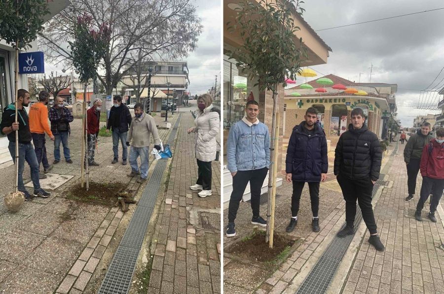 Δενδροφύτευση πραγματοποιήθηκε στους Σοφάδες