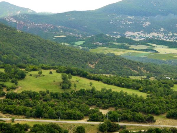 "Εξαγορά δασικών εκτάσεων και επιδοτήσεις ΟΣΔΕ - Όλη η αλήθεια σε αβέβαιο μέλλον"