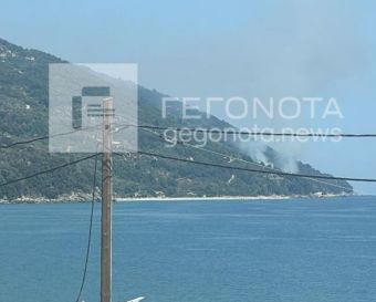 Τέθηκε υπό έλεγχο πυρκαγιά στο Χορευτό Πηλίου