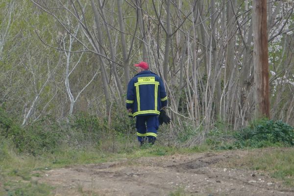 Ελασσόνα: Σε εξέλιξη έρευνες για την εξαφάνιση 17χρονου