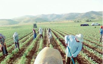 Παράταση της κατά παρέκκλιση διαδικασίας (3 συν 3 μήνες) για τους εργάτες γης