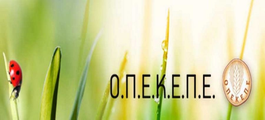 ΟΠΕΚΕΠΕ: Καταβάλλονται ενισχύσεις ύψους 246.314.628 ευρώ