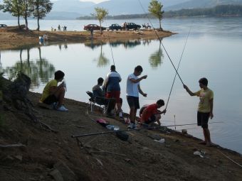 Μελέτη ιχθυοπανίδας της λίμνης Πλαστήρα οφείλει να συντάξει η ΔΕΗ