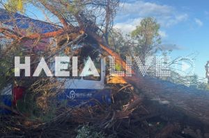 Δέντρο έπεσε πάνω σε μηχανή τρένου, που βρισκόταν εν κινήσει, στη σιδηροδρομική γραμμή Πύργος – Κατάκολο (+Φωτο +Βίντεο)