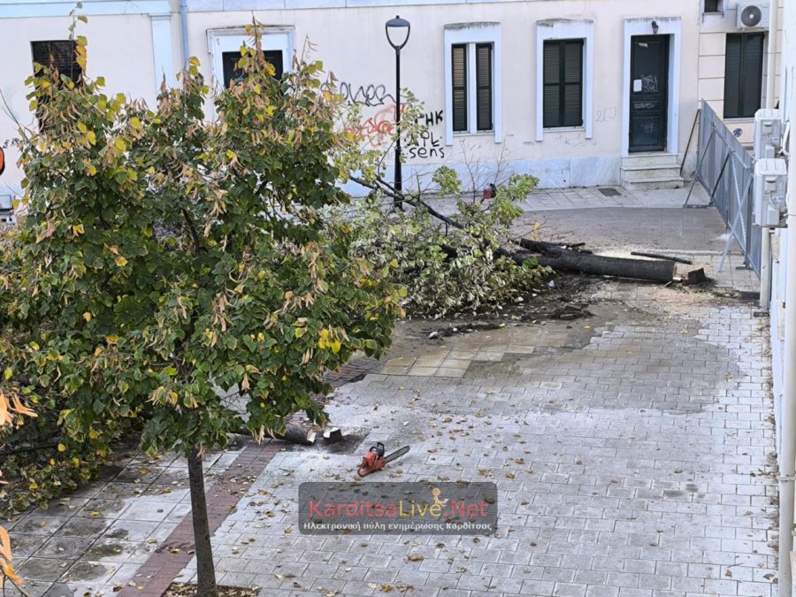 Άρχισαν οι εργασίες για την ανάπλαση της πλατείας Δικαστηρίων – έσπασε δίκτυο ύδρευσης της ΔΕΥΑΚ – χωρίς νερό τα Δικαστήρια (+Φωτο +Βίντεο)