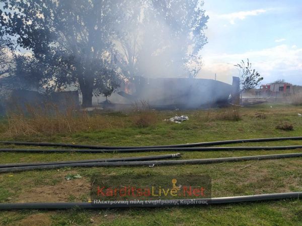 Κάηκαν δεκάδες ζώα μέσα σε κτηνοτροφική μονάδα στην Ψαθοχώρα (+Φώτο)
