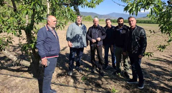 Αυτοψία σε πληγείσες καλλιέργειες και συνεργασία με επιστημονικούς και αρμόδιους φορείς στους Δήμους Τεμπών και Τυρνάβου