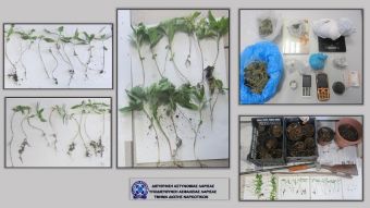 Λάρισα: Δύο συλλήψεις για κάνναβη και κυνηγετικό όπλο