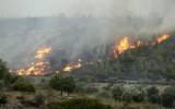 2.569 αιτήσεις πυρόπληκτων το πρώτο 6ήμερο