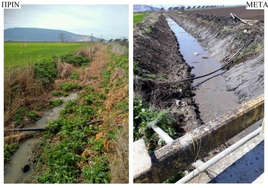 Καθαρίστηκαν τα ρέματα Απιδανού και Αϊκλή στα Φάρσαλα