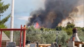 Φθιώτιδα: Συναγερμός για μεγάλη πυρκαγιά στο Θεολόγο - Τέθηκε υπό πλήρη έλεγχο πριν το σούρουπο (+Βίντεο)