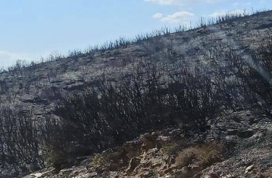 Πυρκαγιά σε εξέλιξη στο Καλό Νερό του Δήμου Κιλελέρ (+Βίντεο)