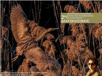 Ξεκίνησε ο 2ος διαγωνισμός ερασιτεχνικής φωτογραφίας άγριας ζωής της λίμνης Κάρλας «Αγλαΐα Τσεκούρα»